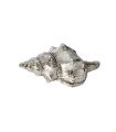 Tulip Pewter Shell Ornament