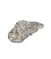 Oyster shell Front Pewter Ornament