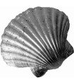 Scallop Pewter Shell Ornament