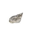 Spiral Pewter Shell Ornament (S)