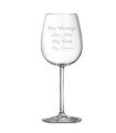 Oenologue Expert Wine Glass