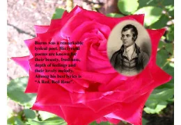 A History of A Red, Red Rose by Robert Burns